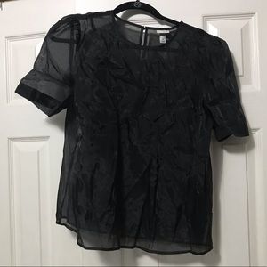 A New Day Sheer Blouse